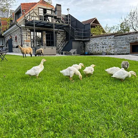 Maison d'hôtes Dvor 13